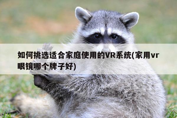 如何挑选适合家庭使用的VR系统(家用vr眼镜哪个牌子好)：Bsports必一体育