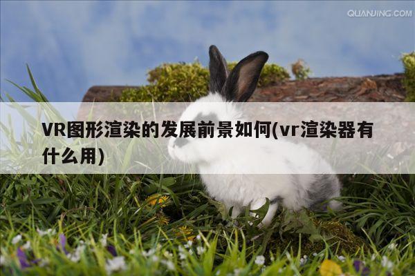 VR图形渲染的发展前景如何(vr渲染器有什么用)|jn体育