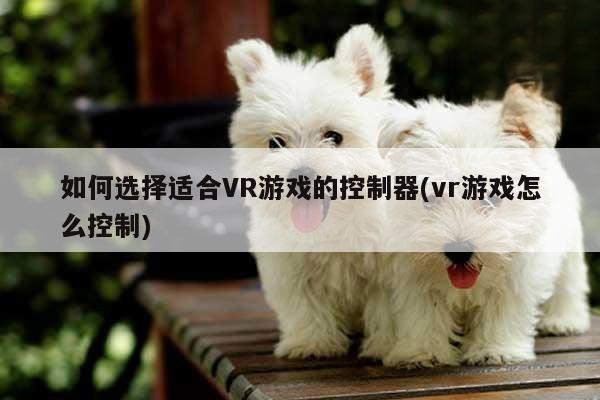 如何选择适合VR游戏的控制器(vr游戏怎么控制)【江南体育官网】